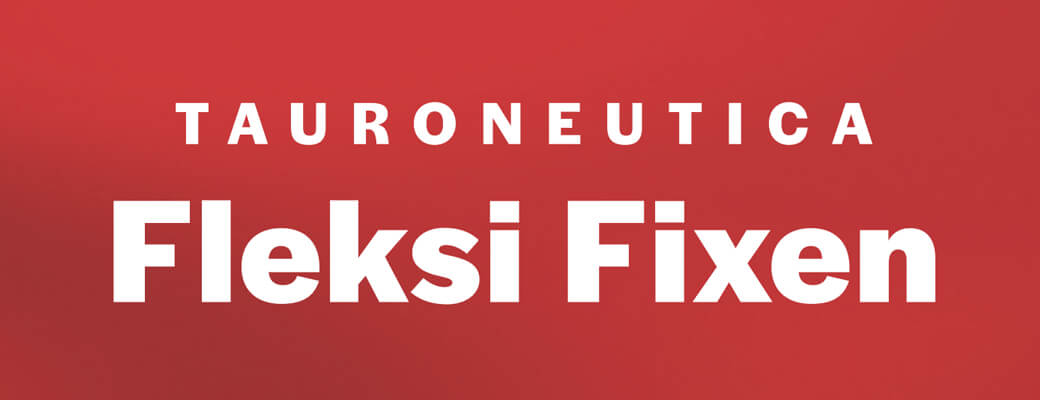 Fleksi Fixen – διαδερμική υποστήριξη των μυών και των αρθρώσεων